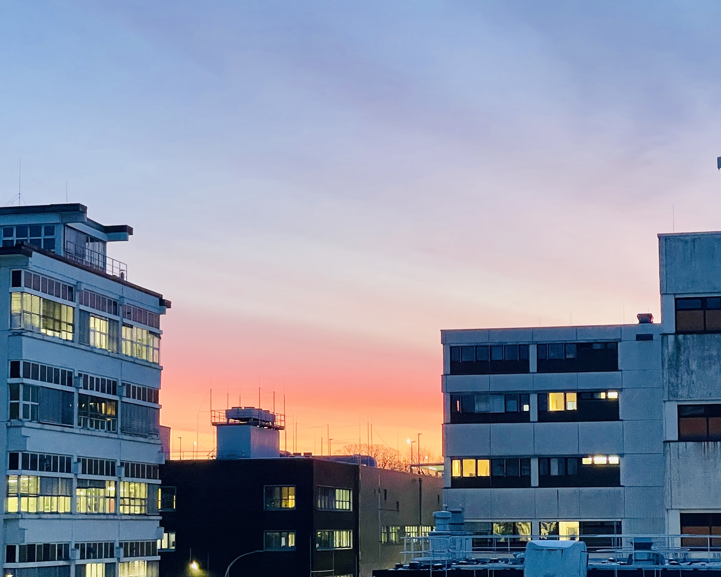 Muss ja: Februar 2026